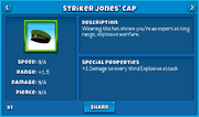 Strikerjonescapinfo