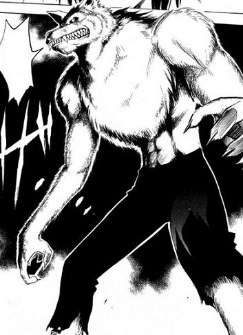 Doctor Black Cat Wiki Fandom