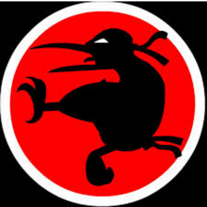 image ninja kiwi png bloons wiki fandom powered by wikia