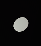 Kaniisk egg