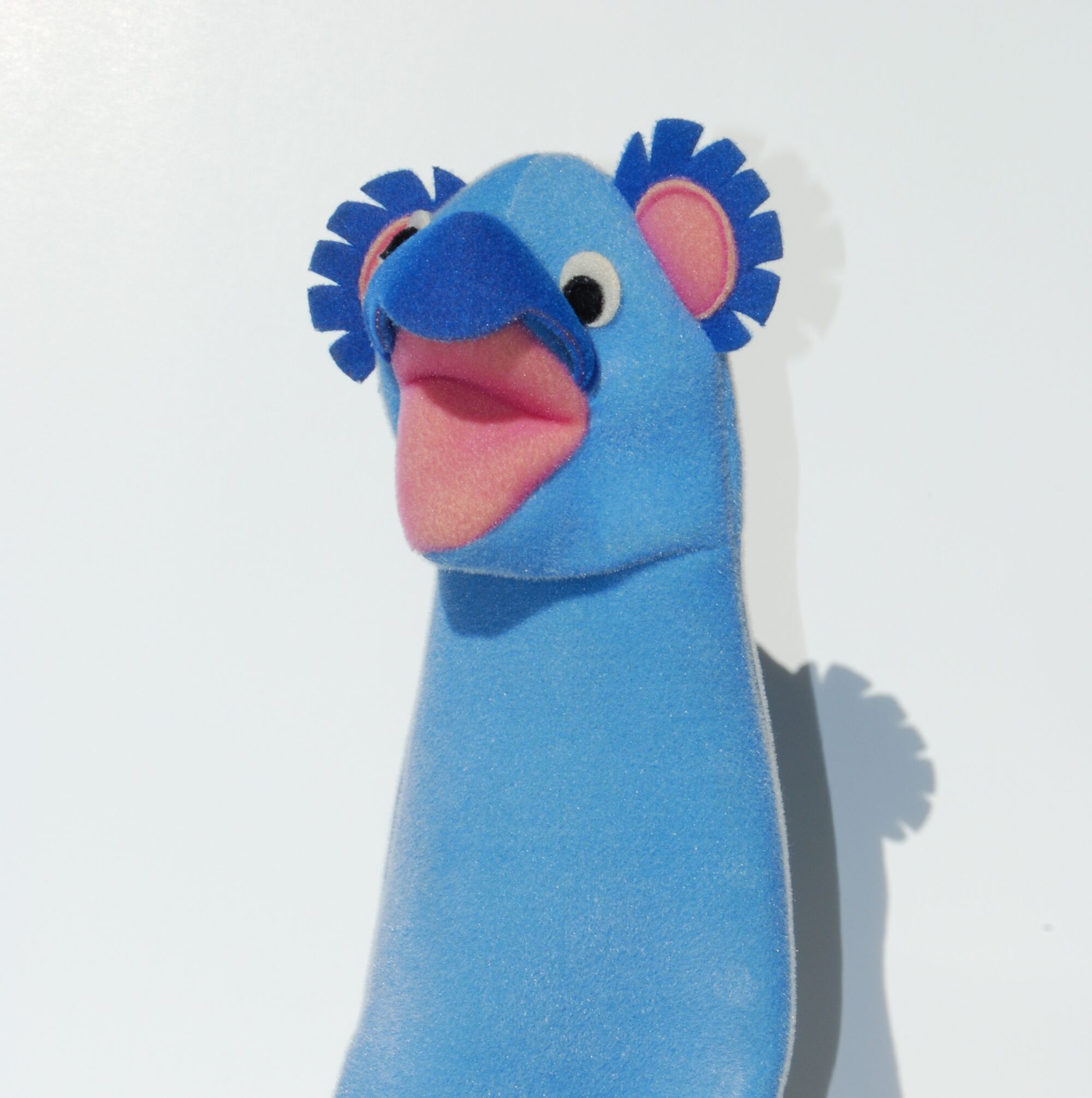 Mozart the Koala Baby Einstein Wiki FANDOM powered by Wikia