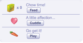 Activities with Pets