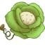 Cabbageseed