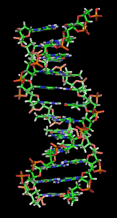 170px-DNA orbit animated static thumb