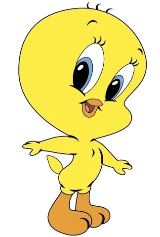 Tweety Bird Cartoon Videos For Free Download