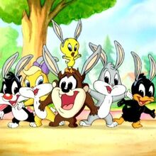 Lola Bunny Baby Looney Tunes Wiki Fandom