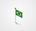 Brazilian Flag