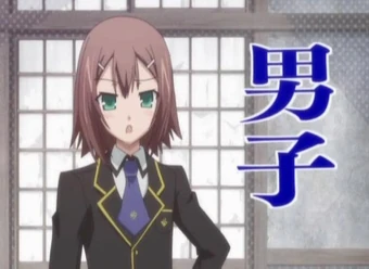 Get Hideyoshi Kinoshita Baka To Test To Shoukanjuu Wiki Fandom For iPhone Free Wallpaper Hideyoshi Kinoshita Baka To Test To Shoukanjuu Wiki Fandom For iPhone Free