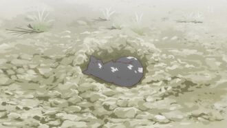 Sawarineko.