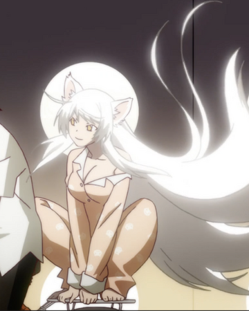Bakemonogatari Episode 14 Tsubasa Cat Part 4 Bakemonogatari