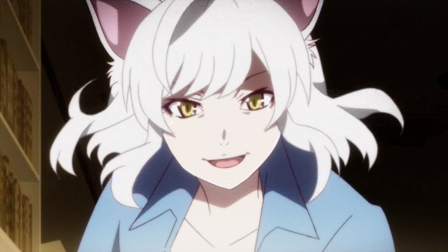 История кошки. Nekomonogatari Hanekawa. Черная Цубаса. Некомоногатари Цубаса. Nekomonogatari Shiro.