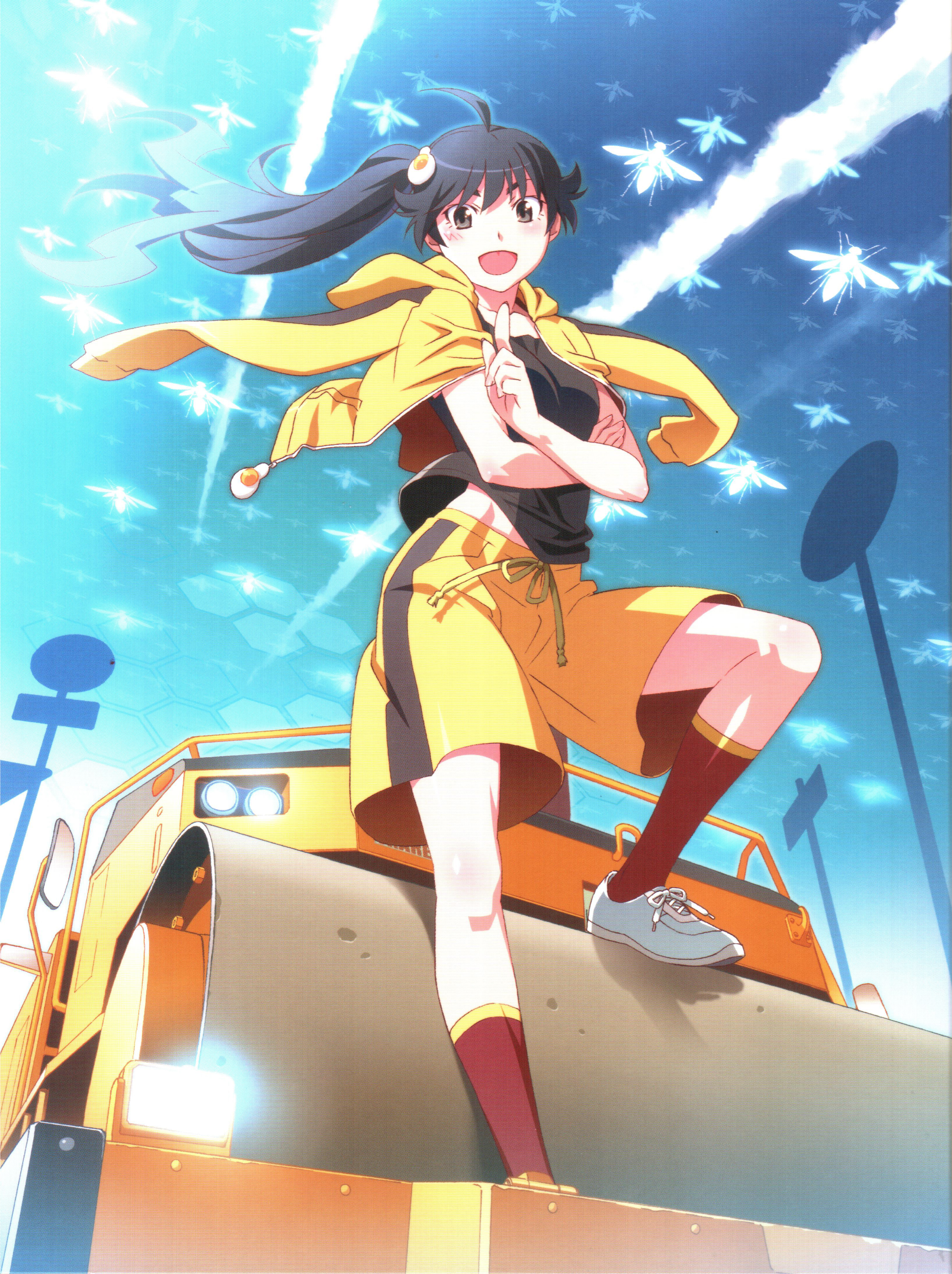 Marshmallow Justice Bakemonogatari Wiki Fandom