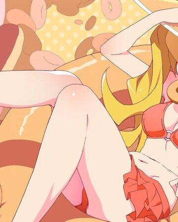 Get Wallpaper Nisemonogatari Episode 11 Tsukihi Phoenix Part 4 Free HD