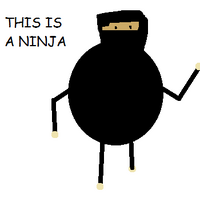Ninja Baldi S Basics Roblox Wiki Fandom - roblox ninja panda