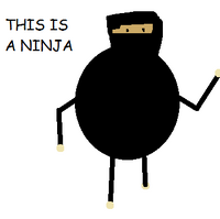 roblox ninja panda