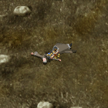 Go To The Friendly Arm Inn Baldur S Gate Wiki Fandom