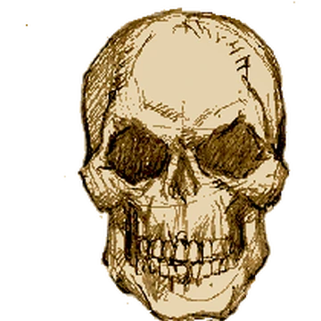 Grinning Skull Baldur S Gate Wiki Fandom
