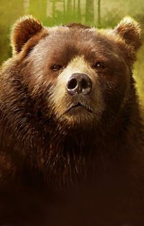 ups bear ne ups bear ne