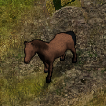 Horse Baldur S Gate Wiki Fandom