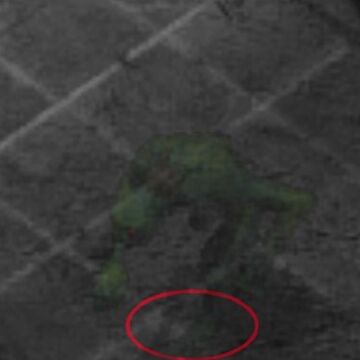 Spirit Troll Baldur S Gate Wiki Fandom