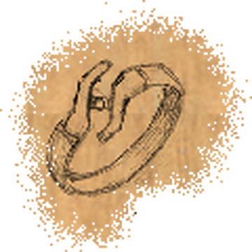 Delryn Family Ring Baldur S Gate Wiki Fandom
