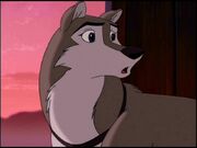 Balto 268