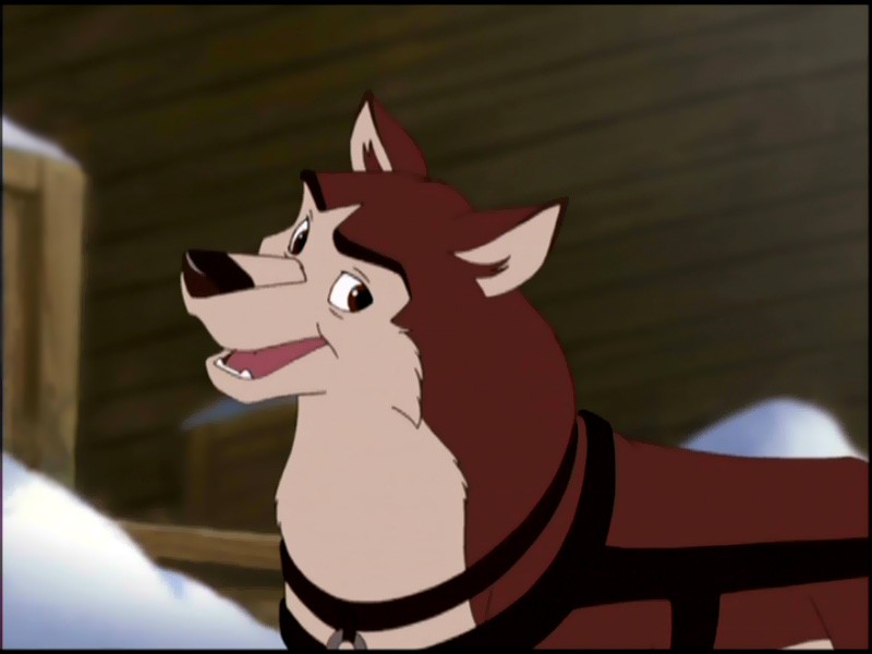 Kodi | Balto Wiki | FANDOM powered by Wikia
