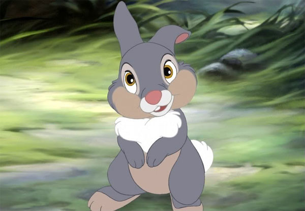 Klopfer Bambi Klopfer Bambi