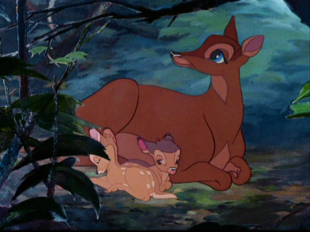 CategoryDeer Bambi Wiki FANDOM powered by Wikia