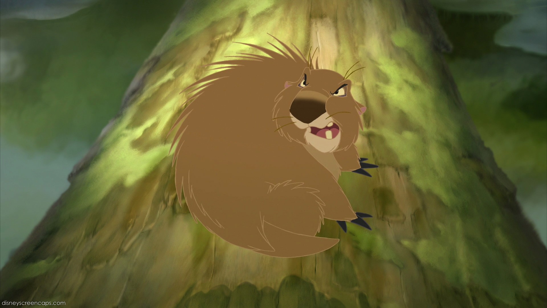 Porcupine | Bambi Wiki | FANDOM powered by Wikia