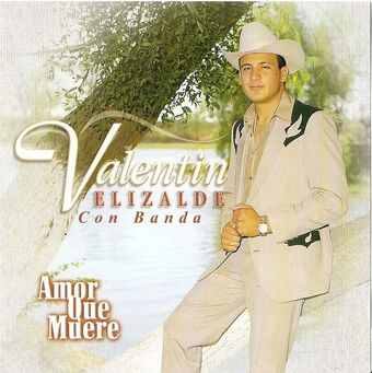 Anexo Discografia De Valentin Elizalde Wikibanda Fandom