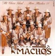 Mi Chica Ideal...Arre Machos!!!