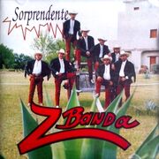 1993 SORPRENDENTE2