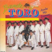 Toro 94