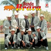 Brava 2000