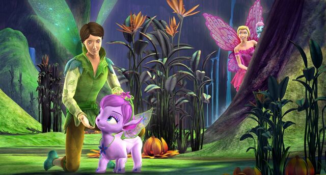 Barbie fairytopia the magic of rainbow best sale