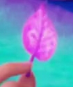 Feuille puante