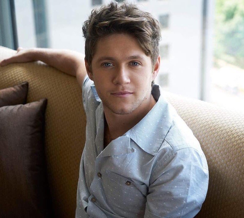 Niall Horan | Barely Functional 1D Wiki | FANDOM powered by Wikia