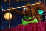 Thesquirrelontheflyingtrapeze