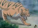 Tigre