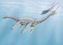 Plesiosaurus