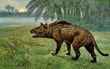 300px-Hyaenodon Heinrich Harder