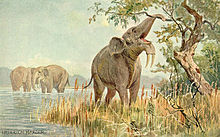 220px-Dinotherium