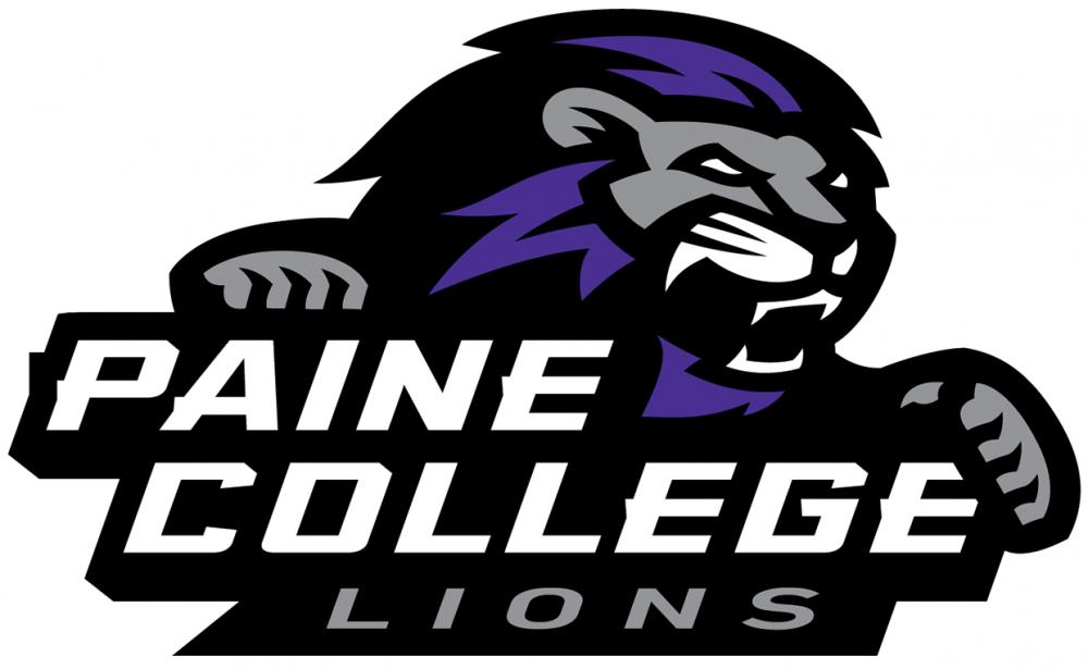 Image result for paine lions image