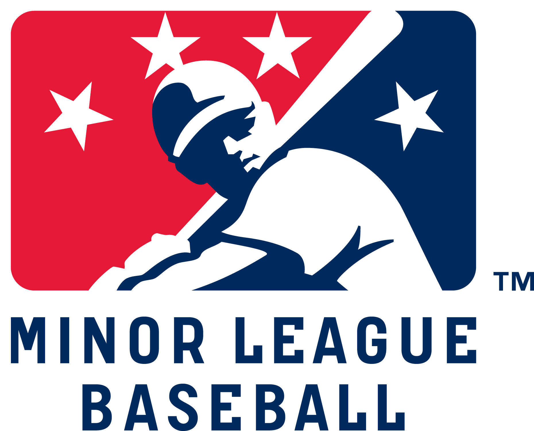 Afbeeldingsresultaat voor Minor League baseball