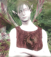 Wisp
