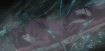 Hotarubi injured
