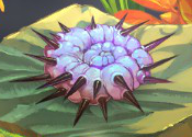 Pincushion pink