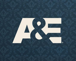 A&E Logo