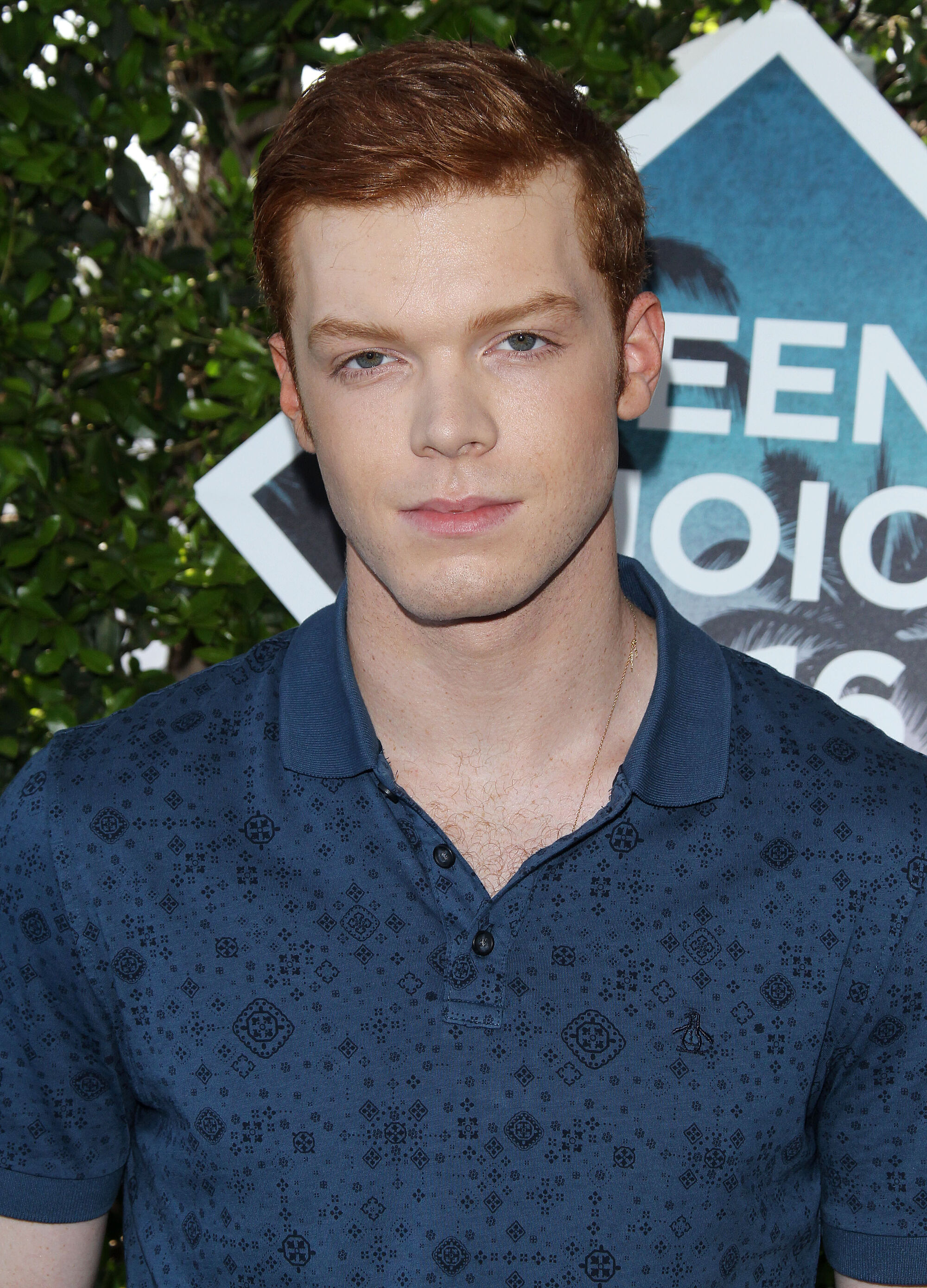 Cameron Monaghan Batman Anarky Wiki Fandom